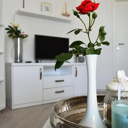 Apartment & Anka